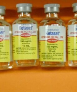 Ketaset Ketamine 100 mg/10 ml